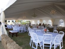 Horse_charity_fundraiser_1