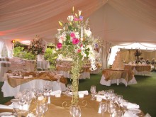 Wedding_interior
