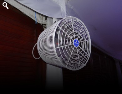 Tent Fan 12" - Available With Misting Ring