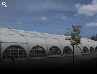 Clearspan Tents